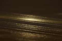 DSC05907