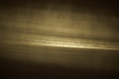 DSC05940