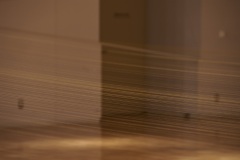 DSC05961