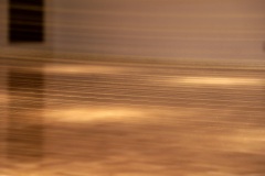 DSC05968
