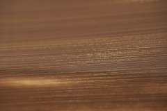DSC05969
