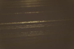 037-730097s©Yohei-Yamakami