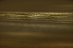 043-0134s©Yohei-Yamakami