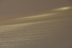 061-0154s©Yohei-Yamakami