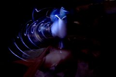 A　DSCN2558x©-Yasuhiro-Chida