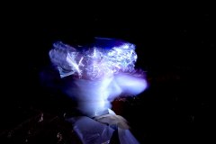 C　DSCN2543x©-Yasuhiro-Chida