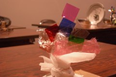 C　DSCN2566x©-Yasuhiro-Chida