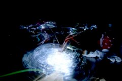 E　DSCN2520x©-Yasuhiro-Chida