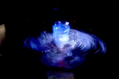 F　DSCN2538x©-Yasuhiro-Chida