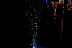 R0010311x©Yasuhiro Chida