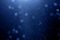 homura005©Yasuhiro-Chida