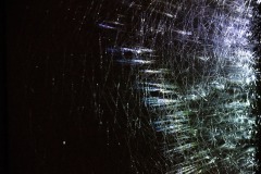 DSC01230-1ⓒToru-Tsuji