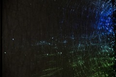 DSC01233-1ⓒToru-Tsuji