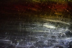 DSC01334-1ⓒToru-Tsuji