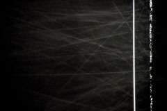 DSC01355-1ⓒToru-Tsuji