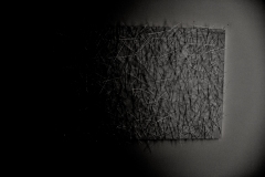 210911繝上ｚ繝ｫ繧ｳ蜊・伐-74-・・100mⓒHirohiko Koyamada