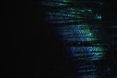 KIC00618ⓒYasuhiro Chida