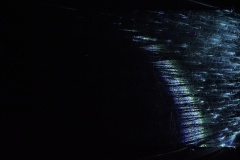 KIC00646ⓒYasuhiro Chida