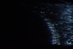 KIC00650ⓒYasuhiro Chida