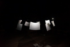 DSC01581-©-Katsuyuki-Araki