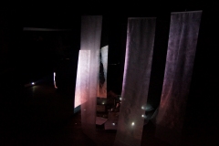 DSC01782m-©-Katsuyuki-Araki