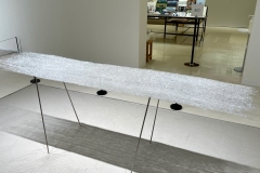 210911繝上ｚ繝ｫ繧ｳ蜊・伐-55-・・100ⓒHirohiko Koyamada