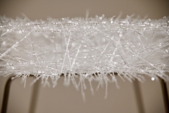 210911繝上ｚ繝ｫ繧ｳ蜊・伐-56-・・100sⓒHirohiko Koyamada