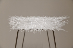 210911繝上ｚ繝ｫ繧ｳ蜊・伐-57-・・100sⓒHirohiko Koyamada