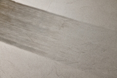 210911繝上ｚ繝ｫ繧ｳ蜊・伐-59-・・100sⓒHirohiko Koyamada