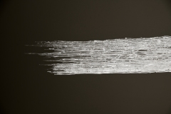 210911繝上ｚ繝ｫ繧ｳ蜊・伐-60-・・100sⓒHirohiko Koyamada