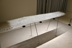 210911繝上ｚ繝ｫ繧ｳ蜊・伐-62-・・100sⓒHirohiko Koyamada