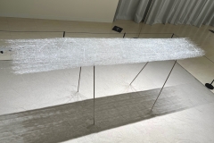 210911繝上ｚ繝ｫ繧ｳ蜊・伐-63-・・100ⓒHirohiko Koyamada