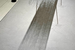 210911繝上ｚ繝ｫ繧ｳ蜊・伐-80-・・100ⓒHirohiko Koyamada