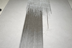 210911繝上ｚ繝ｫ繧ｳ蜊・伐-81-・・100ⓒHirohiko Koyamada