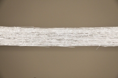 210911繝上ｚ繝ｫ繧ｳ蜊・伐-83-・・100sⓒHirohiko Koyamada