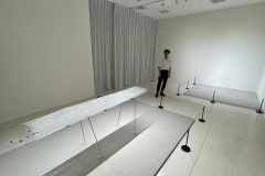 210911繝上ｚ繝ｫ繧ｳ蜊・伐-87-・・100ⓒHirohiko Koyamada