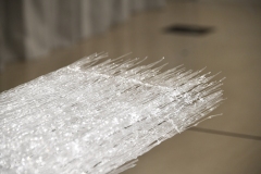 210911繝上ｚ繝ｫ繧ｳ蜊・伐-93-・・100sⓒHirohiko Koyamada