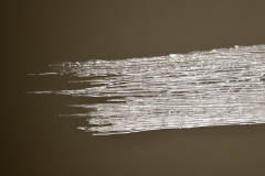 210911繝上ｚ繝ｫ繧ｳ蜊・伐-95-・・100sⓒHirohiko Koyamada