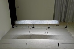 210911繝上ｚ繝ｫ繧ｳ蜊・伐-97-・・100ⓒHirohiko Koyamada